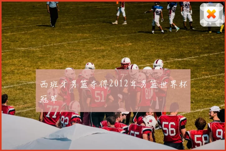 西班牙男篮夺得2012年男篮世界杯冠军