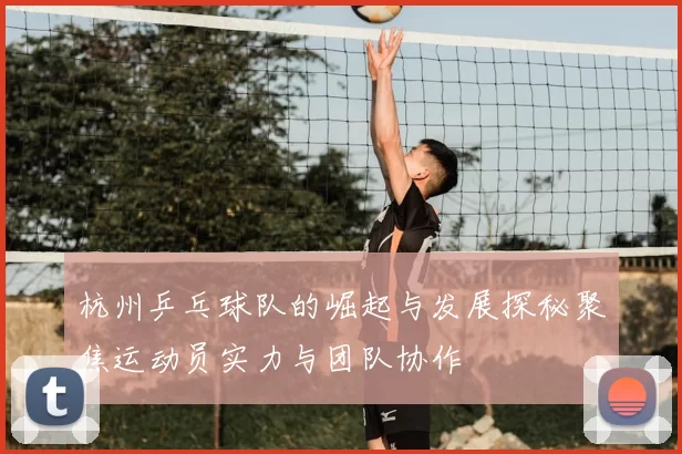 杭州乒乓球队的崛起与发展探秘聚焦运动员实力与团队协作