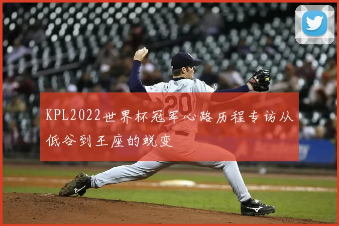 KPL2022世界杯冠军心路历程专访从低谷到王座的蜕变