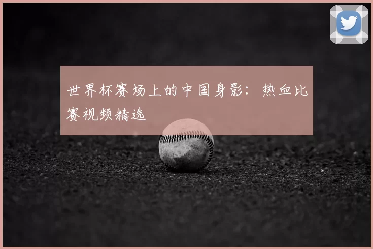 世界杯赛场上的中国身影：热血比赛视频精选
