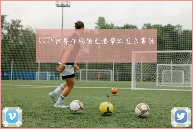 CCTV世界杯现场直播带你直击赛场
