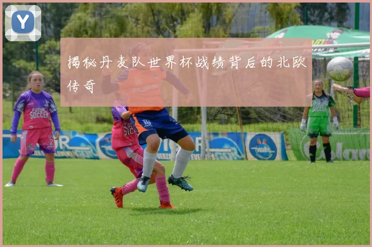 揭秘丹麦队世界杯战绩背后的北欧传奇