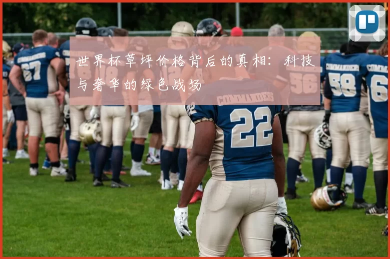 世界杯草坪价格背后的真相：科技与奢华的绿色战场