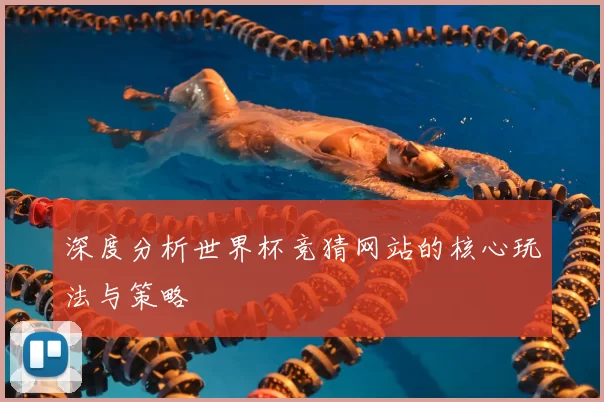 深度分析世界杯竞猜网站的核心玩法与策略
