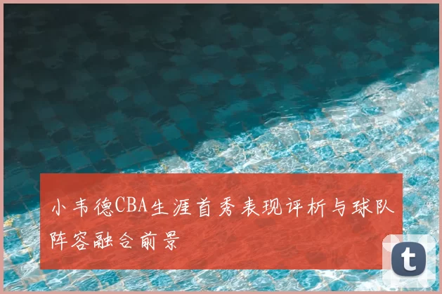小韦德CBA生涯首秀表现评析与球队阵容融合前景