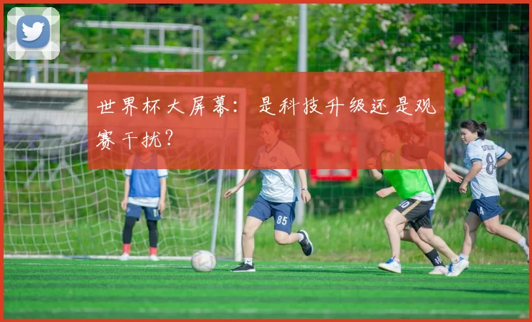 世界杯大屏幕：是科技升级还是观赛干扰？